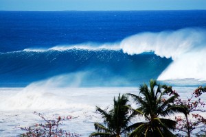 Unridden blue giant at Tres Palmas.